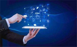 京師長圓加盟指南 費用、條件與官方招商渠道詳解